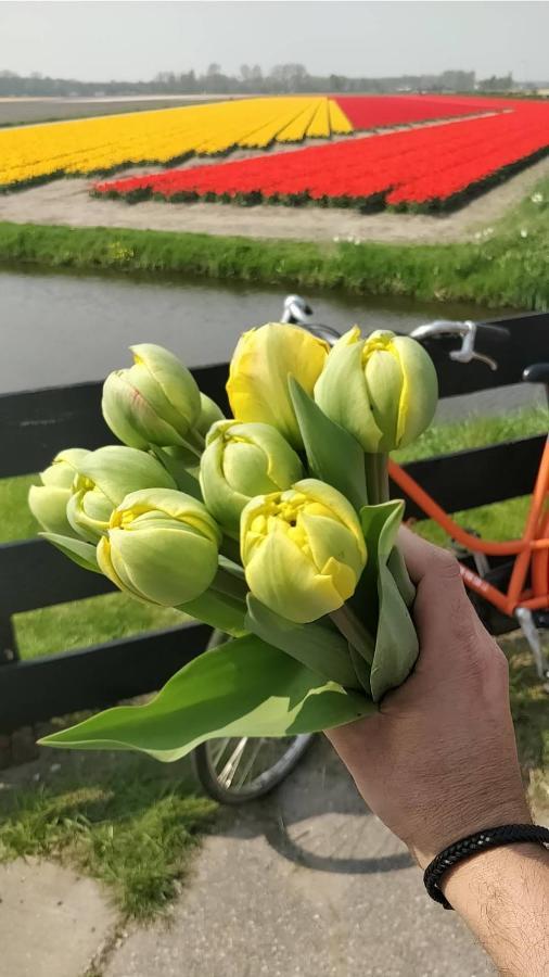 Amberdi Apartment Amsterdam Schiphol Airport 霍夫多普 外观 照片